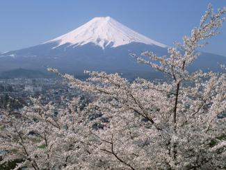 粉雪世界：阿寒湖、旭川、富良野、小樽、札幌豪华六日游（北京起
