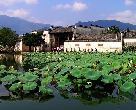 河南青年旅行社