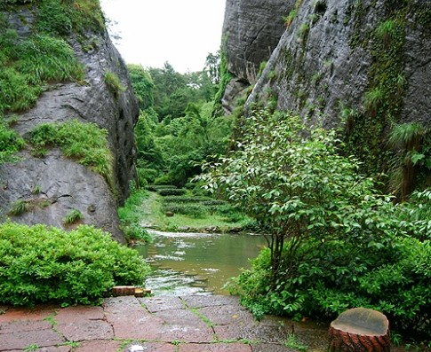 武夷山大红袍景区——好山好水出名茶