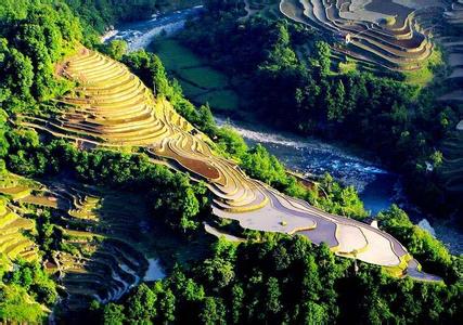 科迪勒拉山梯田
