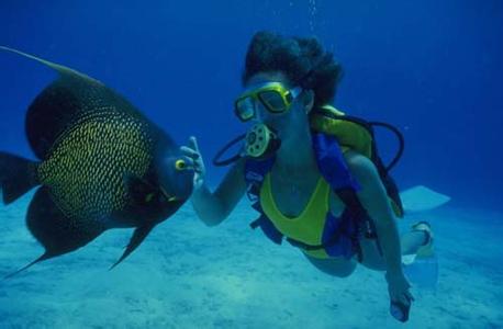 郑州jrs直播nba乐吧_雷速体育很卡_jrs游戏直播公司,河南jrs直播nba乐吧_雷速体育很卡_jrs游戏直播公司,郑州青年旅行社,沙 巴潜水